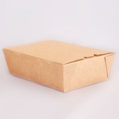 Kraft Box Medium