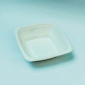 Square  Container with Lid