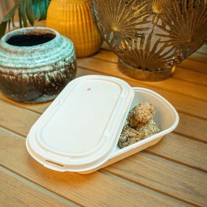 Rectangle Container with Lid